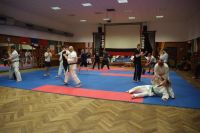 Bild (15)